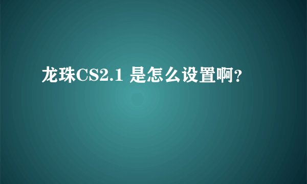 龙珠CS2.1 是怎么设置啊？