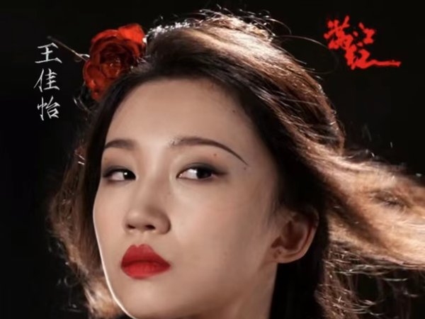 王佳怡个人资料