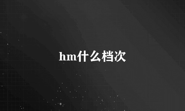 hm什么档次