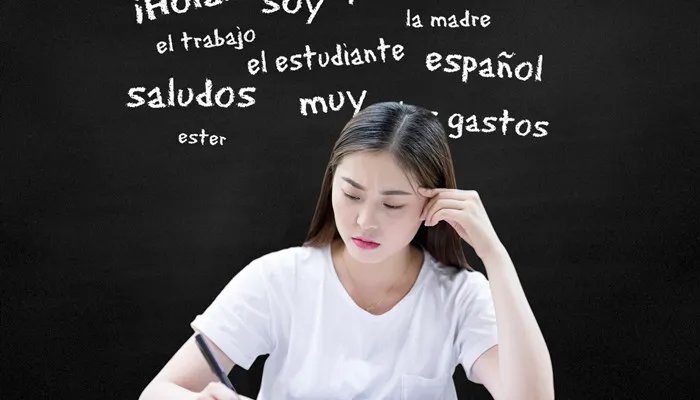 哈尼是什么意思 哈尼是什么意思英语