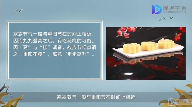 寒露是几月几日