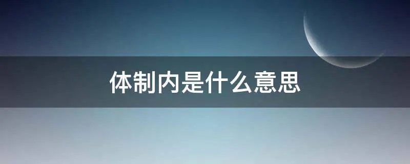 体制内是什么意思