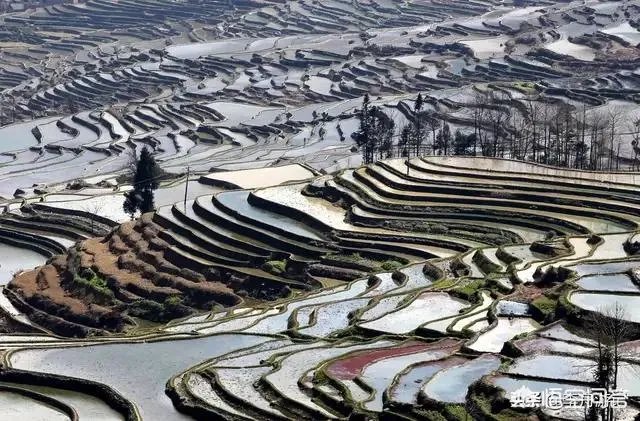 自驾游，你遇到过艳遇吗？哪里的景区才能遇到？