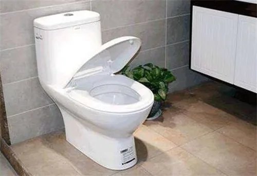 马桶有几种冲水方式