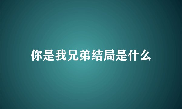 你是我兄弟结局是什么