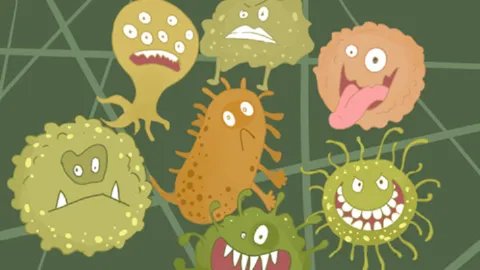 螨虫叮咬怎么办