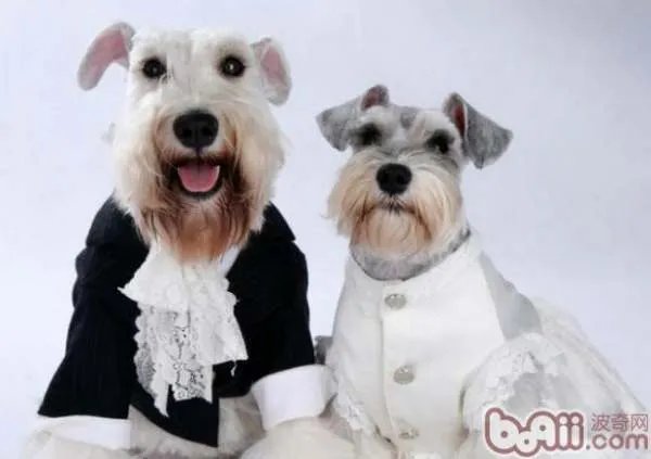 临床常用的微生态制剂有哪些？