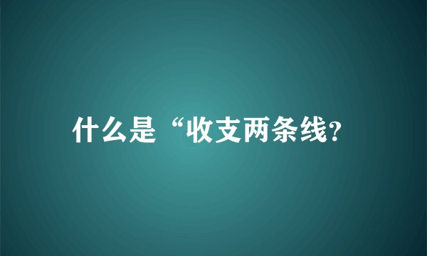 什么是“收支两条线？