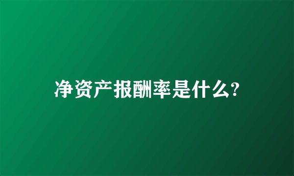 净资产报酬率是什么?