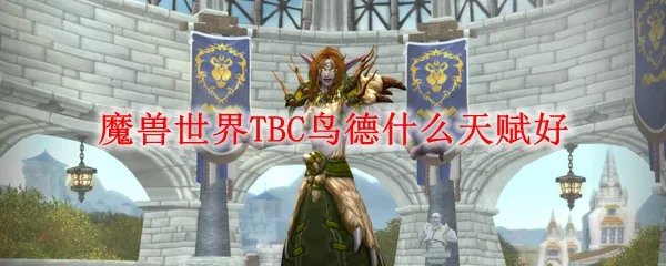 魔兽世界TBC鸟德什么天赋好