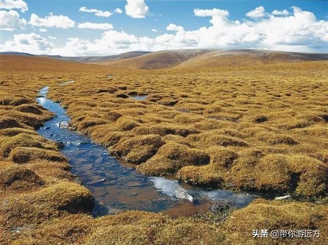 三江源头为何这么小？