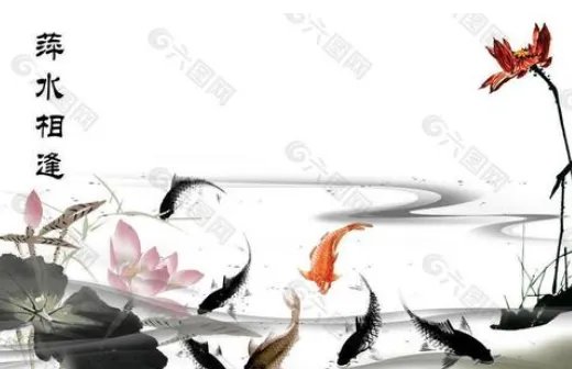 萍水相逢的意思