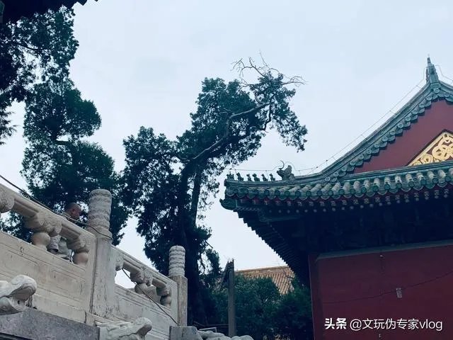 故宫600年是怎么算的？