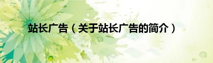站长广告（关于站长广告的简介）