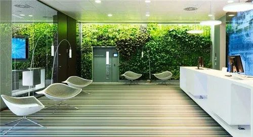 绿色办公是什么 如何打造绿色办公的环境