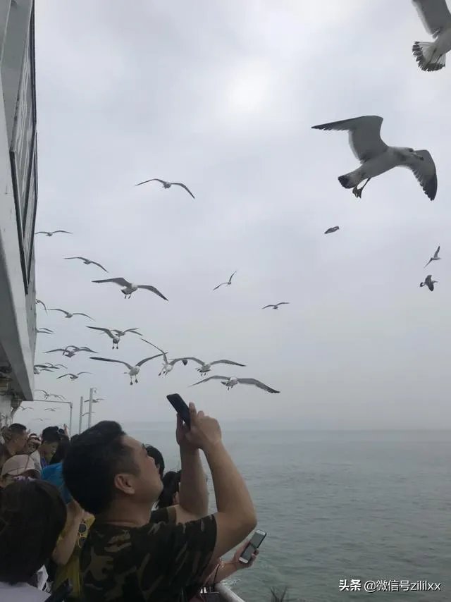 打算去山东长岛玩,有哪些经济实惠的渔家乐可推荐的?