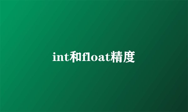 int和float精度