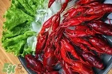 喇蛄和小龙虾有什么不同？喇蛄和小龙虾的区别