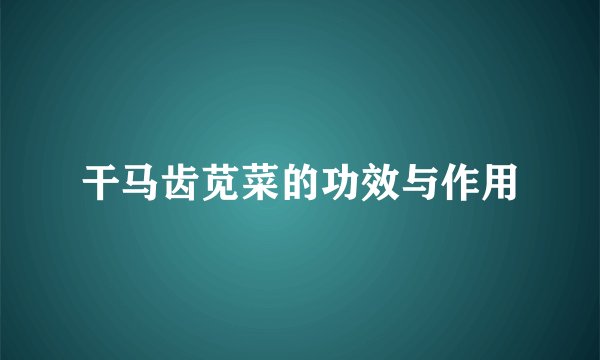 干马齿苋菜的功效与作用