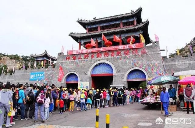 威海比日照如何，哪个更好玩？