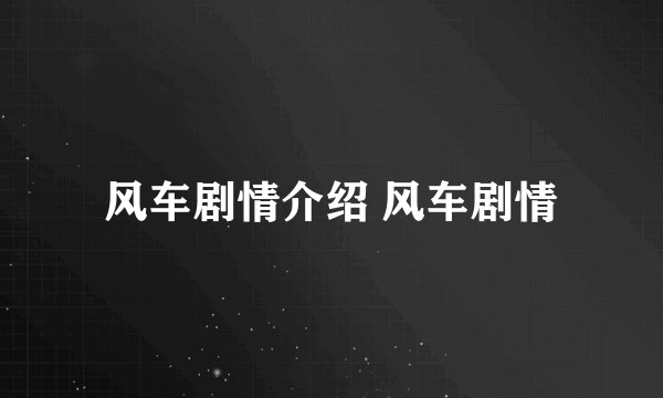 风车剧情介绍 风车剧情