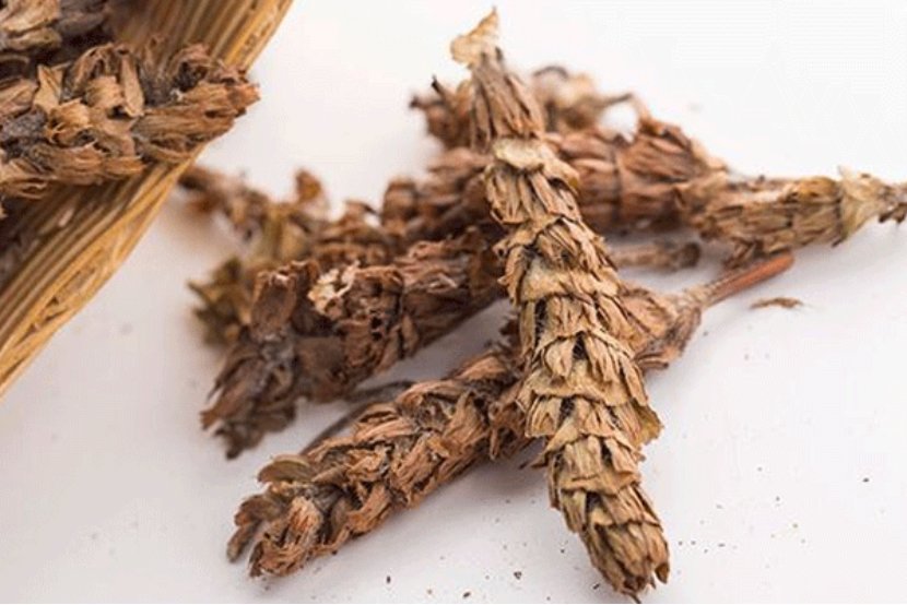 夏枯草的功效与作用有哪些