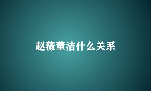 赵薇董洁什么关系