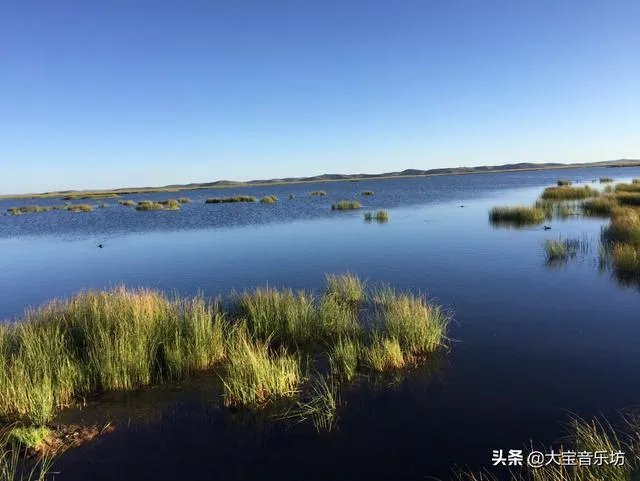 中国乐队组合有哪些