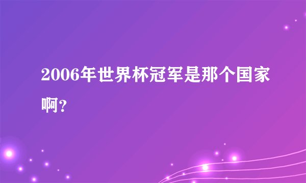 2006年世界杯冠军是那个国家啊？