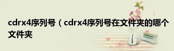 cdrx4序列号（cdrx4序列号在文件夹的哪个文件夹
