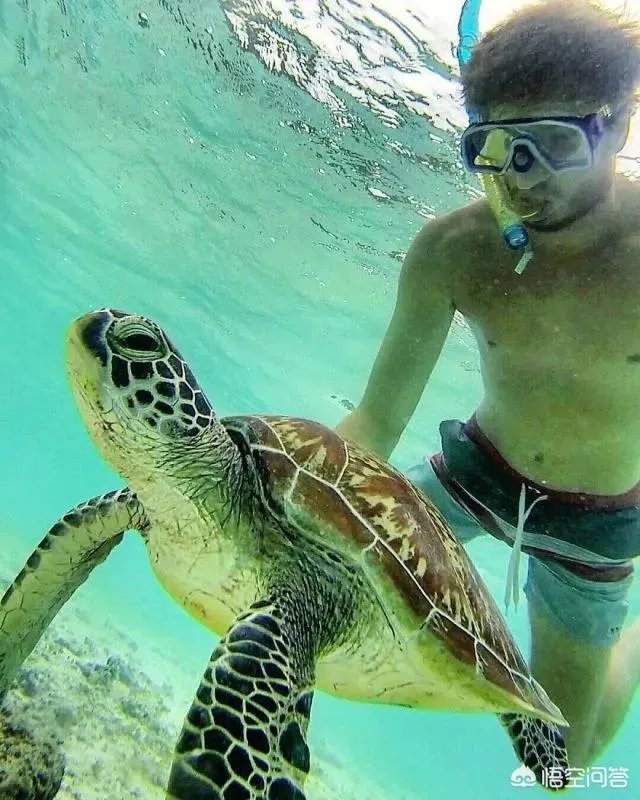 别人家的老师你喜欢哪点？