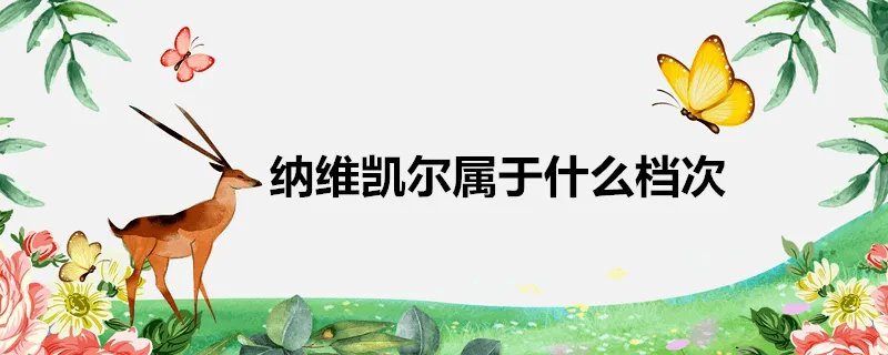 纳维凯尔属于什么档次