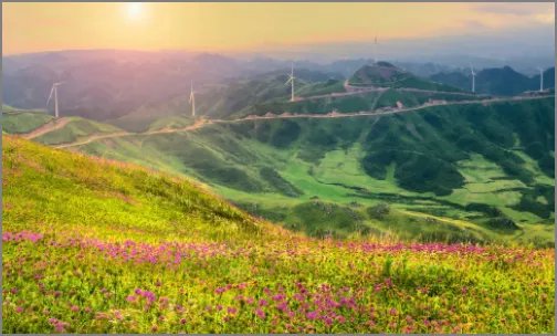 sasa是什么意思？