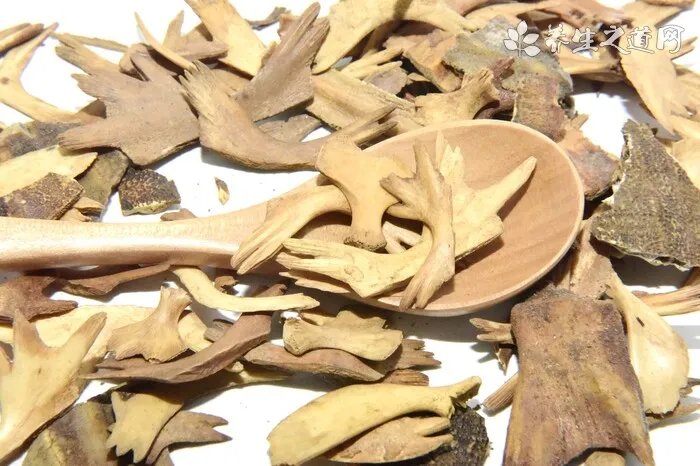 后市何首乌 亳州中药材产业