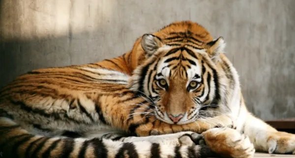 南京好玩的地方排行榜前十名