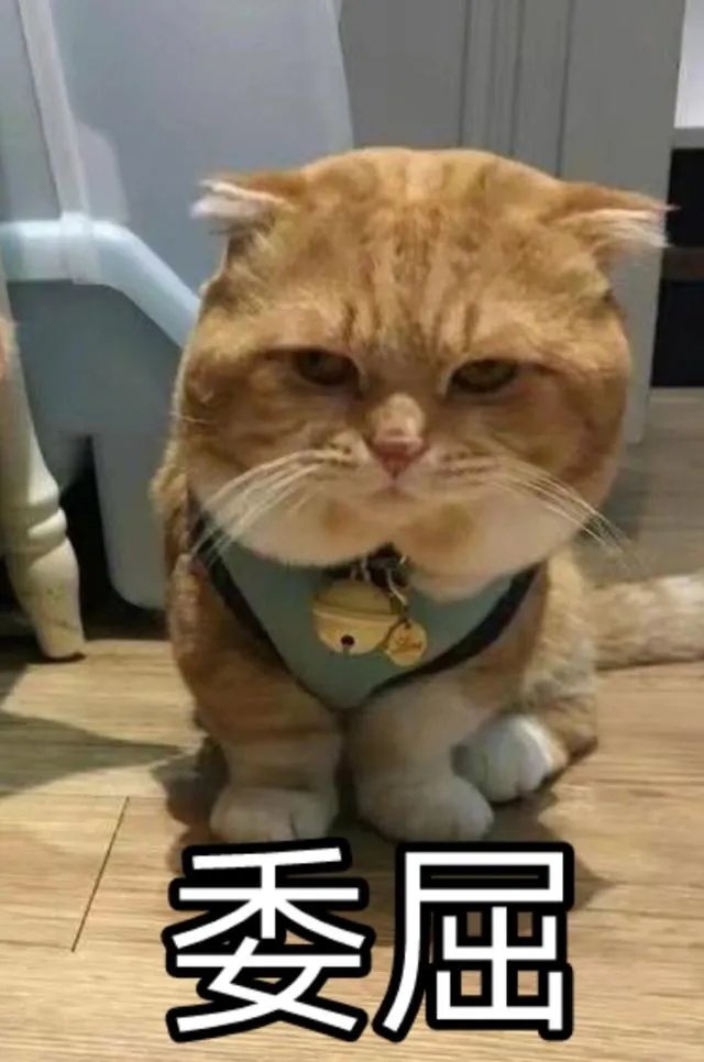 网络与新媒体专业怎么样？