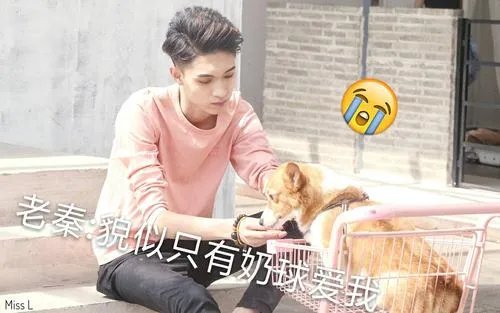 德云社秦霄贤为什么怕张云雷 秦霄贤为什么停演21天原因大揭秘