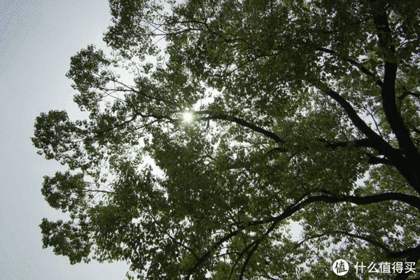 美能达镜头怎么样