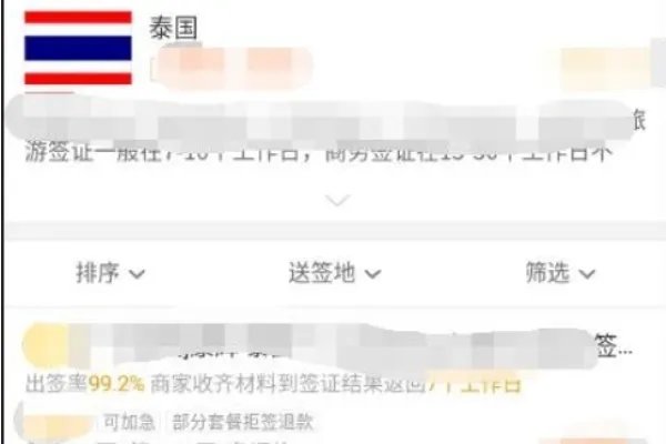 该怎么网上签证