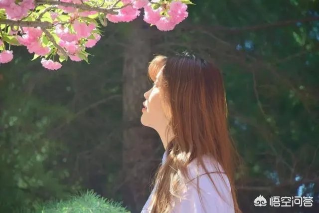 位于淄博的山东理工大学好不好，是一所什么档次的大学？