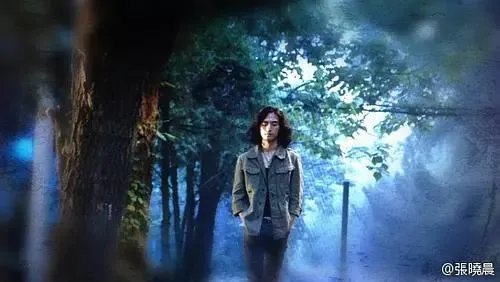 如何评价演员张晓晨？