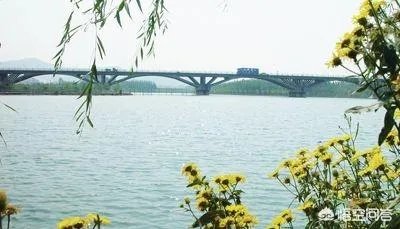 东阿是一个镇还是一个县，东阿镇是位于东阿县吗？