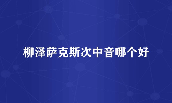 柳泽萨克斯次中音哪个好