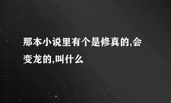 那本小说里有个是修真的,会变龙的,叫什么