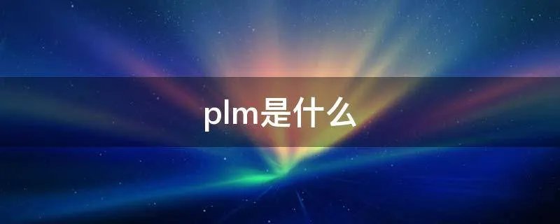 plm是什么