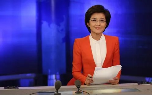 王宁女主持人简历曝光 风光女主持人背后的成长之路