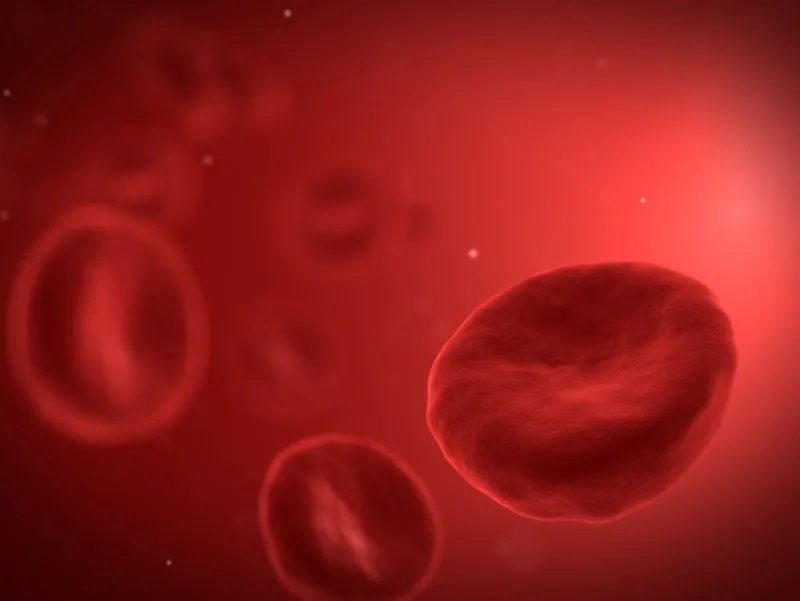 高胆红素血症的饮食