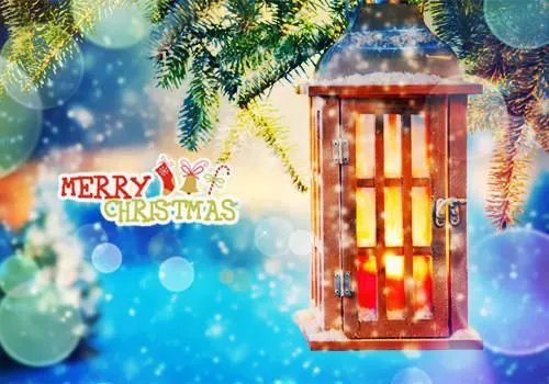 女主谢倾暖祁城笙小说醋王宠妻手札完整版阅读