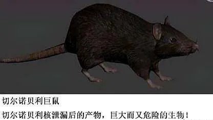 切尔诺贝利巨鼠指的是什么？它究竟真实存在还是谣言？