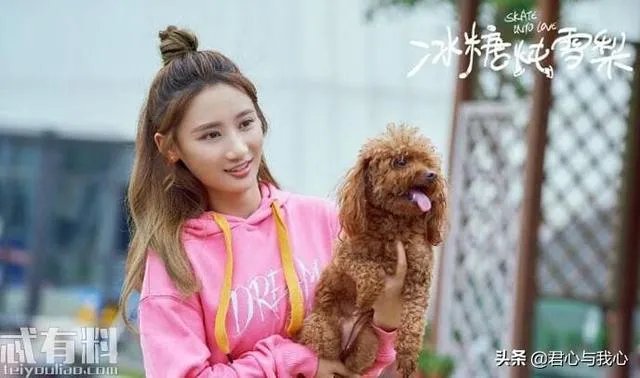 《冰糖炖雪梨》这部电视剧剧情是什么？